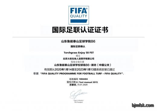 山东鲁能泰山足球学院B6