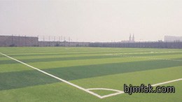 河北案例