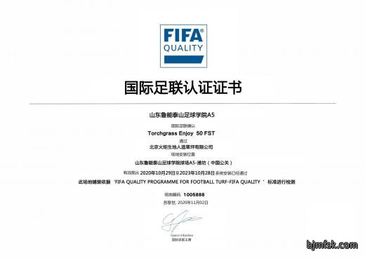 山东鲁能泰山足球学院A5